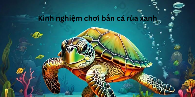 Tổng hợp mẹo chơi rùa xanh hiệu quả