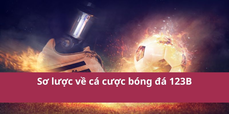 Hướng Dẫn Chi Tiết Về Cá Cược Bóng Đá Mới Nhất 2025