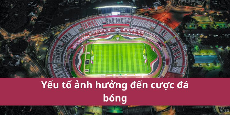 Hướng Dẫn Chi Tiết Về Cá Cược Bóng Đá Mới Nhất 2025