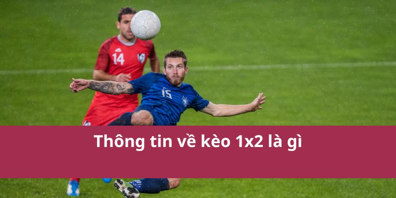 Kèo 1x2 Là Gì? Giải Thích Chi Tiết Và Cách Đọc Kèo Năm 2025 