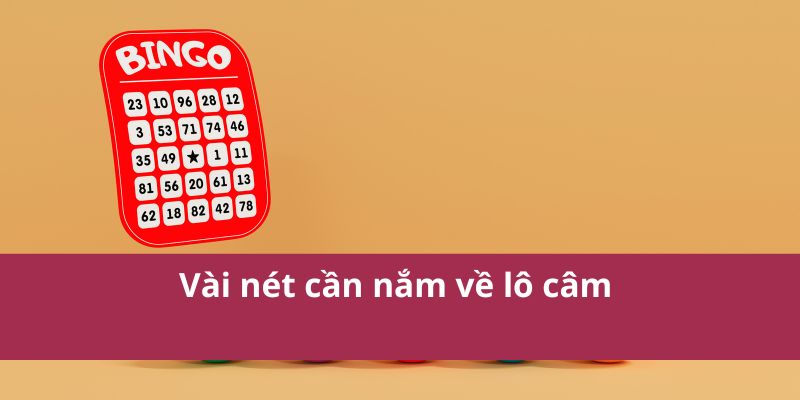 Cách Chơi Lô Câm Và Những Điều Cần Biết Về Lô Đề 2 Vài nét cần nắm về lô câm